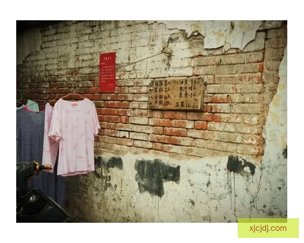 合肥 性息：探寻这座城市的独特魅力与生活百态 